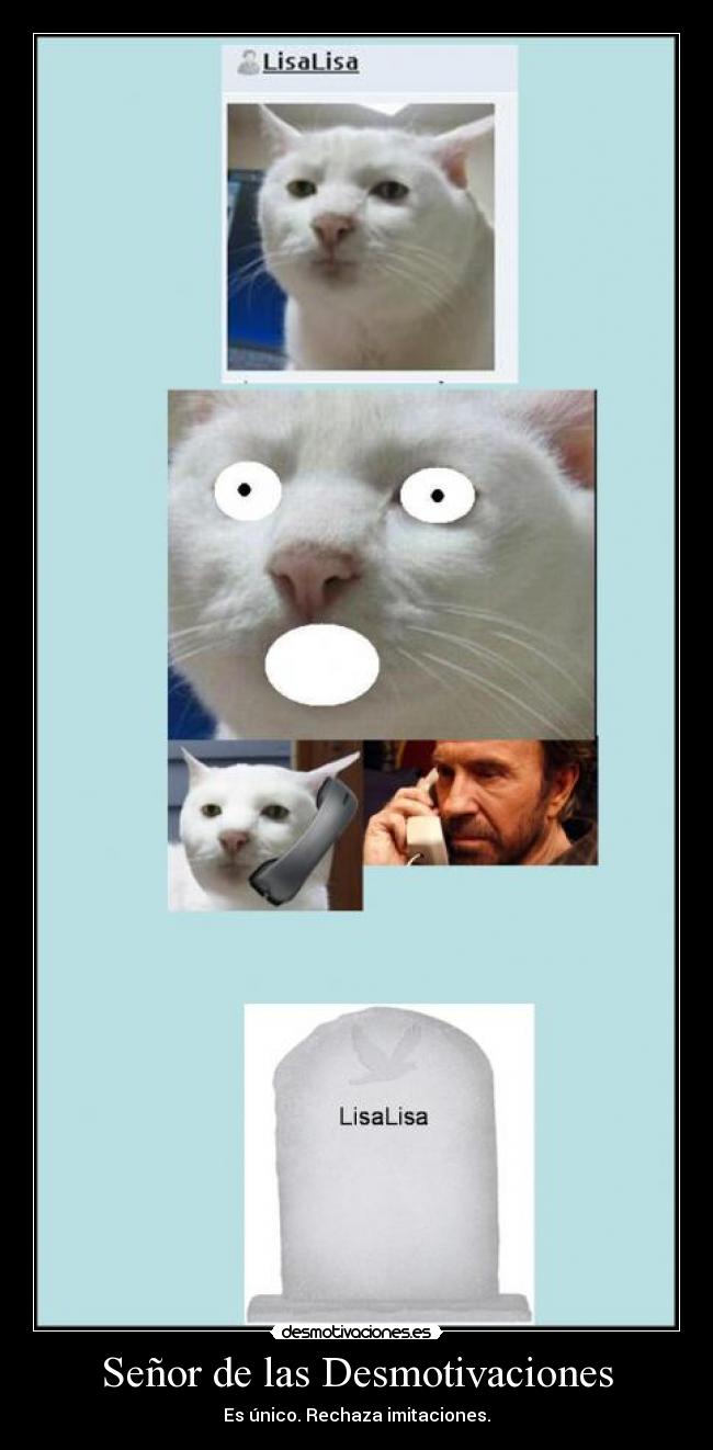 Señor de las Desmotivaciones - Es único. Rechaza imitaciones.