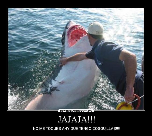 JAJAJA!!! - NO ME TOQUES AHY QUE TENGO COSQUILLAS!!!!