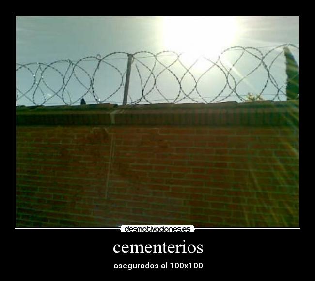 carteles kush2246 desmotivaciones