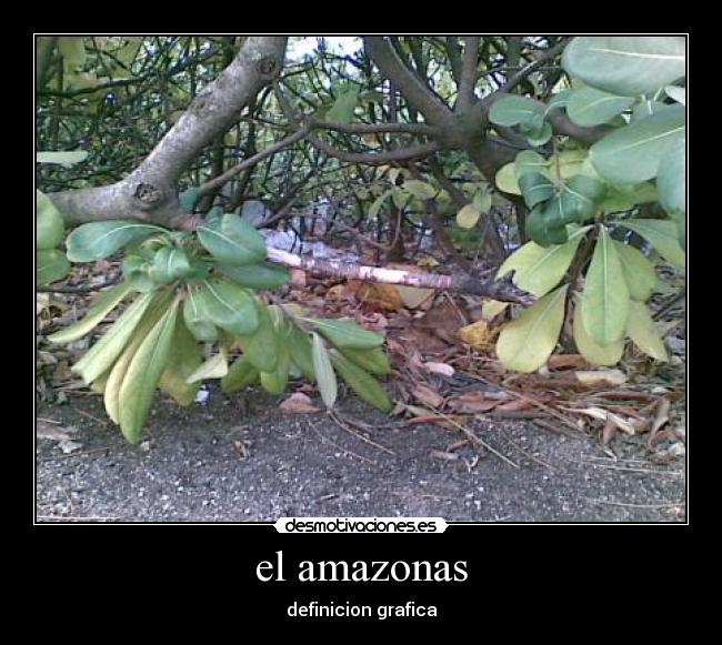 carteles kush2246 desmotivaciones