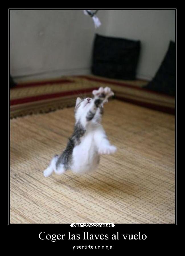 Coger las llaves al vuelo - y sentirte un ninja