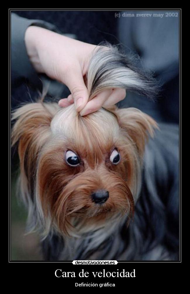Cara de velocidad - Definición gráfica