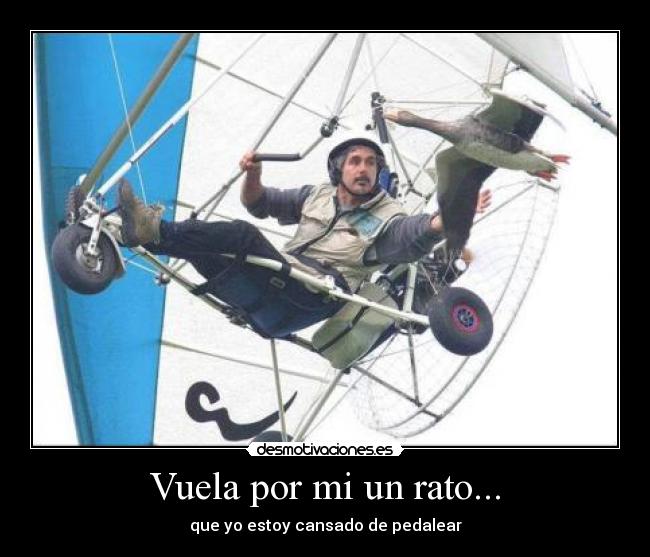 carteles cash desmotivaciones