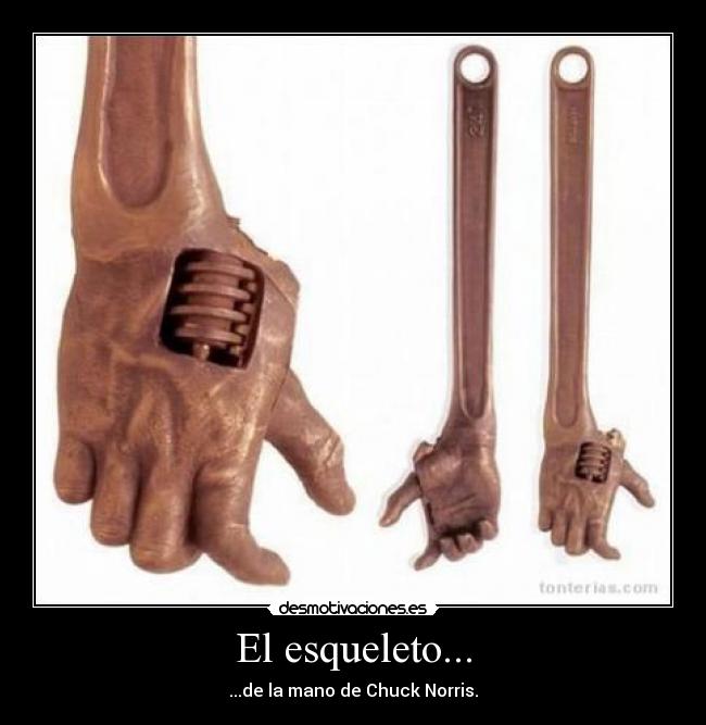 El esqueleto... - ...de la mano de Chuck Norris.