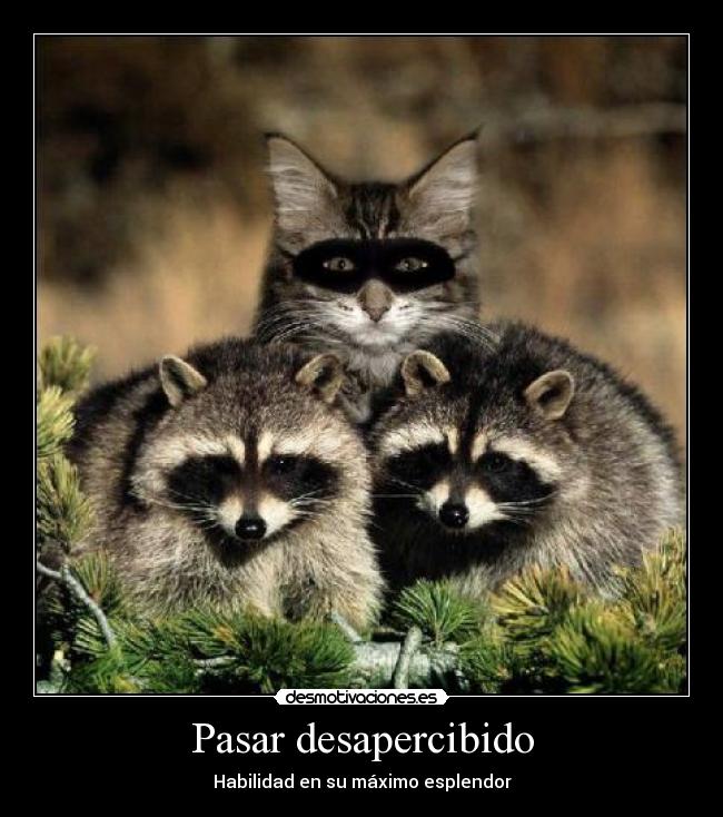 Pasar desapercibido - 