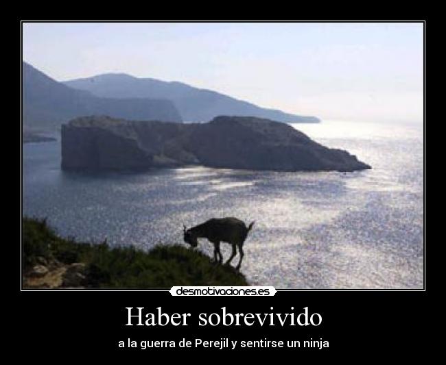 Haber sobrevivido - 