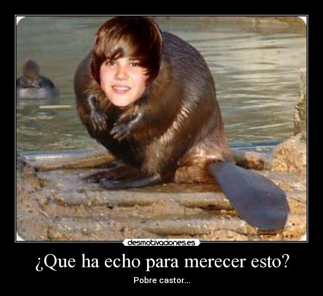 ¿Que ha echo para merecer esto? -