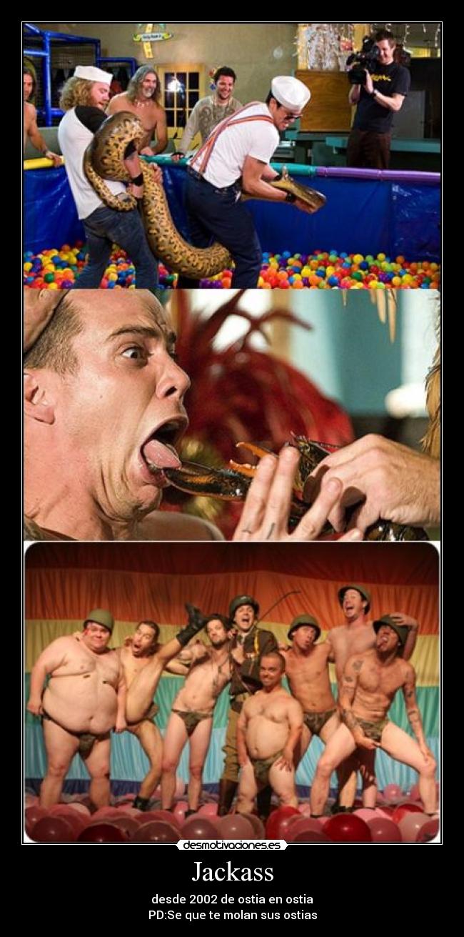 Jackass - 