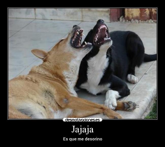 Jajaja - Es que me desorino