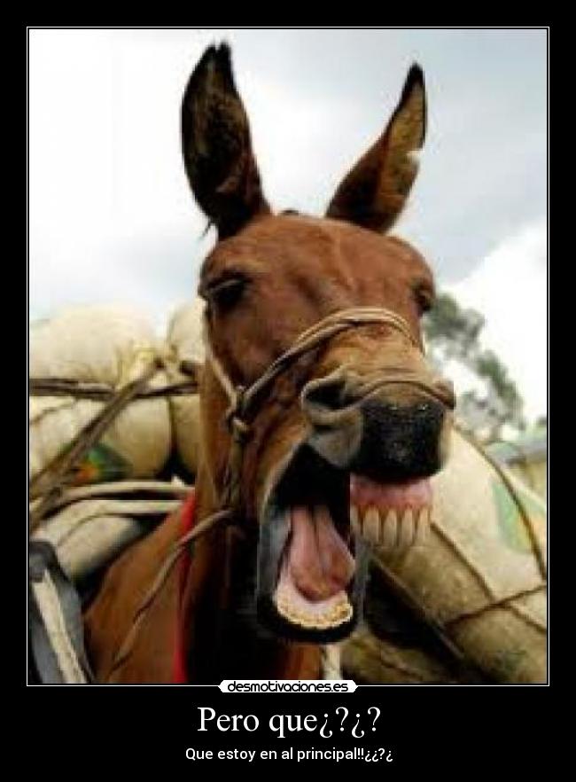 Pero que¿?¿? -