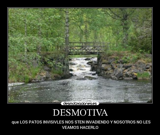 DESMOTIVA -   que LOS PATOS INVISIVLES NOS STEN INVADIENDO Y NOSOTROS NO LES
VEAMOS HACERLO