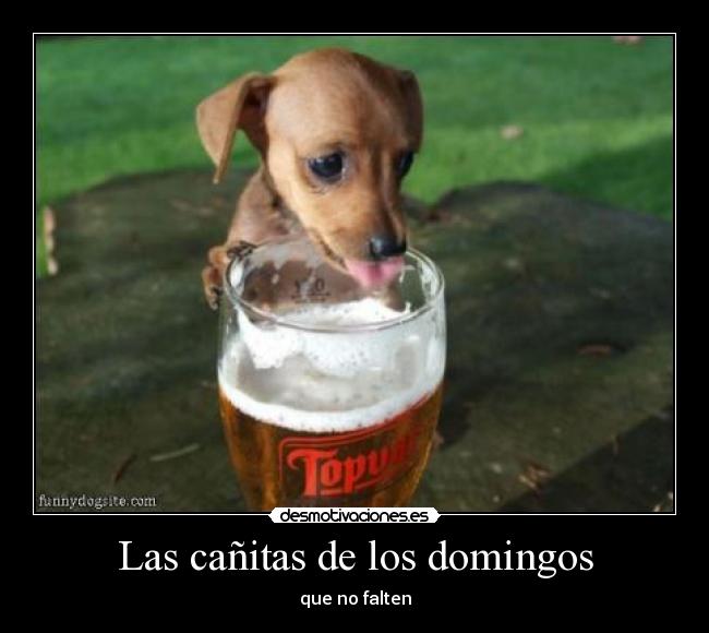 Las cañitas de los domingos - que no falten