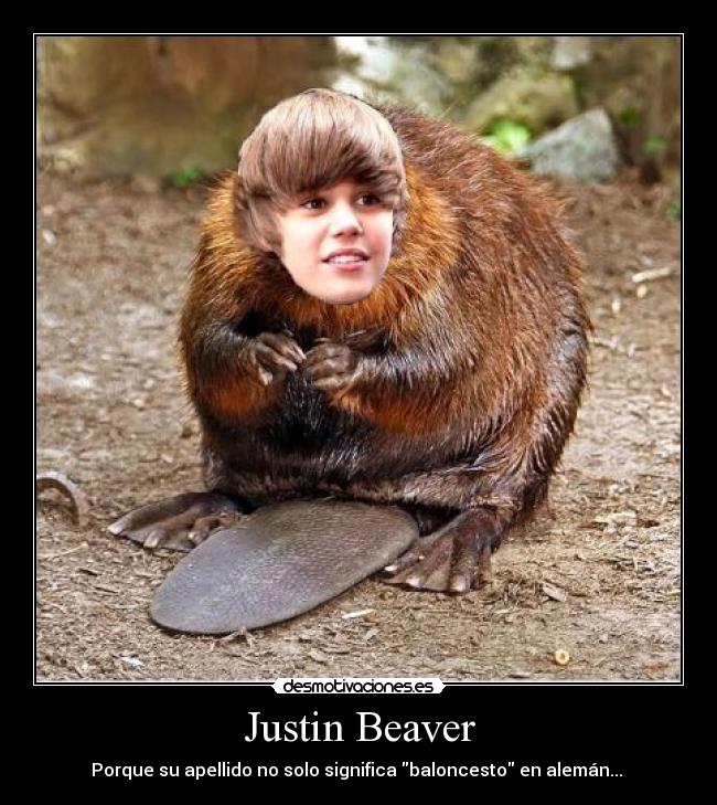 Justin Beaver - Porque su apellido no solo significa baloncesto en alemán... 
