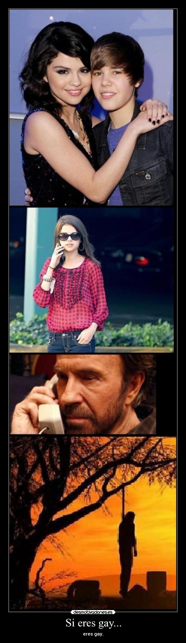 Si eres gay... - 