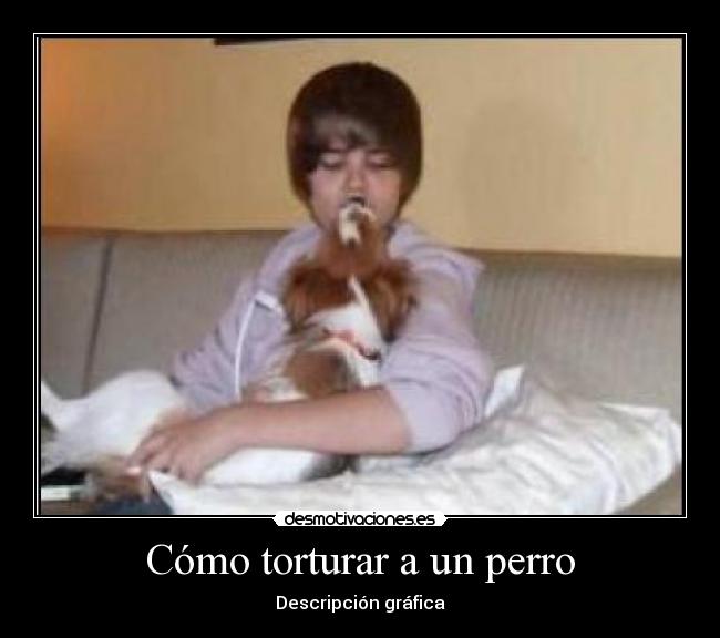 Cómo torturar a un perro - 