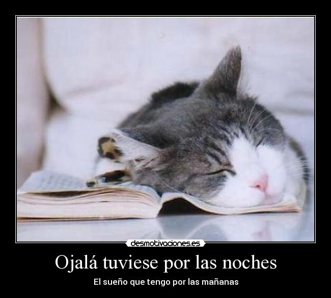 Ojalá tuviese por las noches -