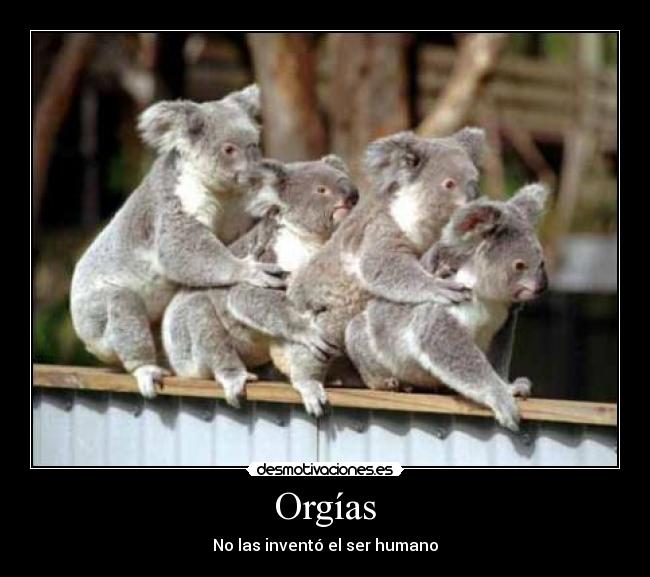 Orgías -