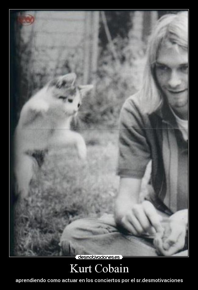 Kurt Cobain - aprendiendo como actuar en los conciertos por el sr.desmotivaciones