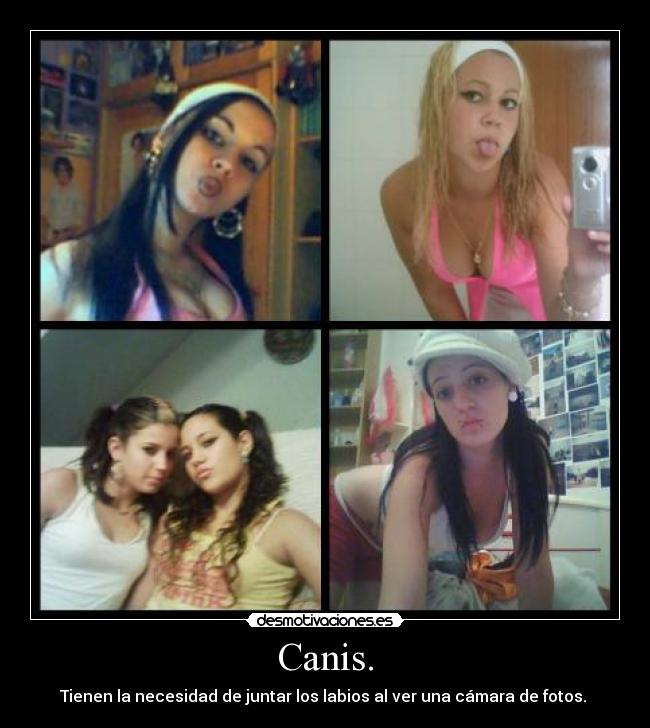 carteles andoni-music canis labios desmotivaciones