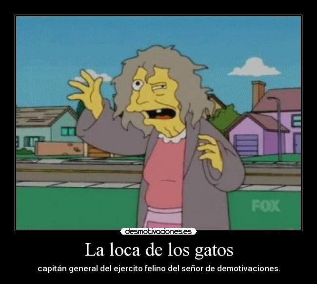 carteles gatos loca los gatos desmotivaciones