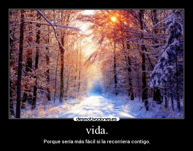 vida. -