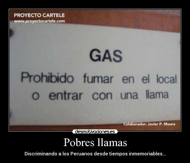 Pobres llamas - Discriminando a los Peruanos desde tiempos inmemoriables...