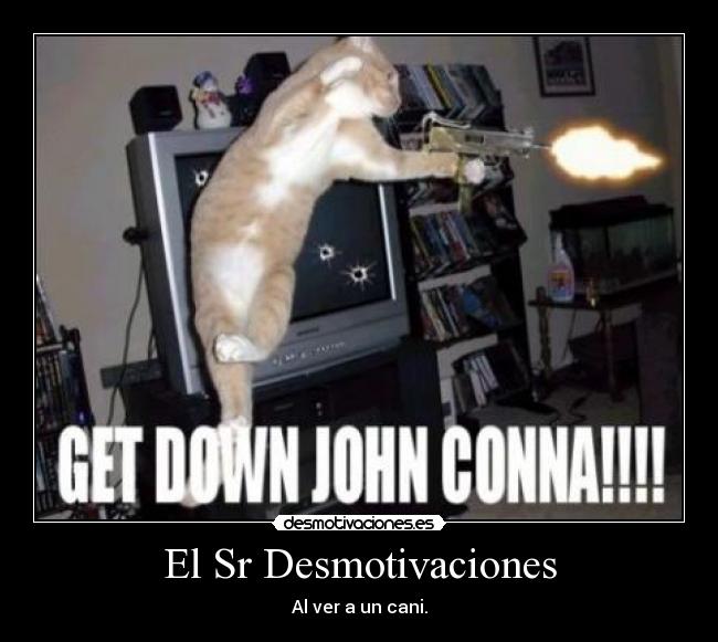 El Sr Desmotivaciones -