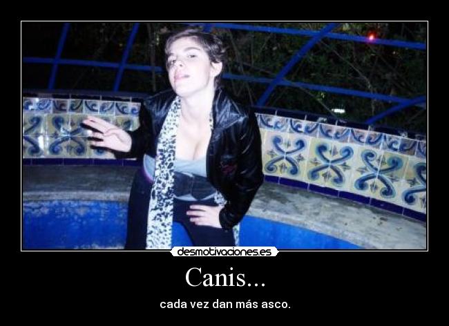 Canis... - cada vez dan más asco.