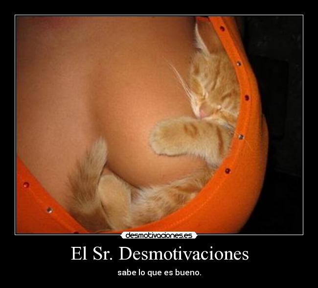 El Sr. Desmotivaciones - sabe lo que es bueno.