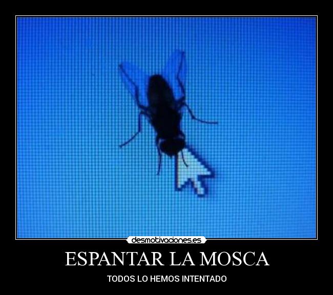ESPANTAR LA MOSCA -