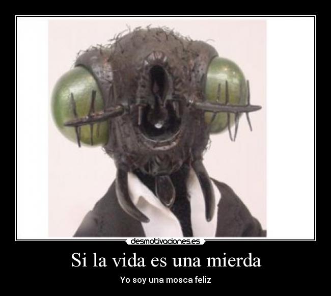 carteles vida mosca desmotivaciones