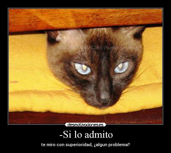 -Si lo admito - te miro con superioridad, ¿algun problema?