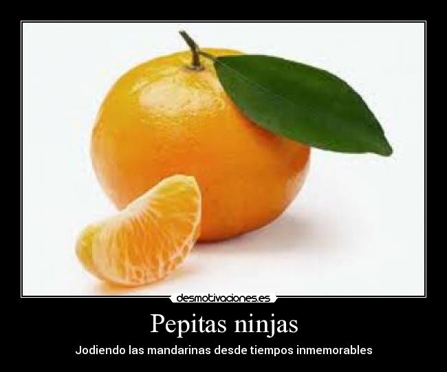 Pepitas ninjas -