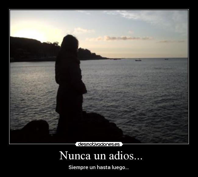 carteles que nunca dices desmotivaciones