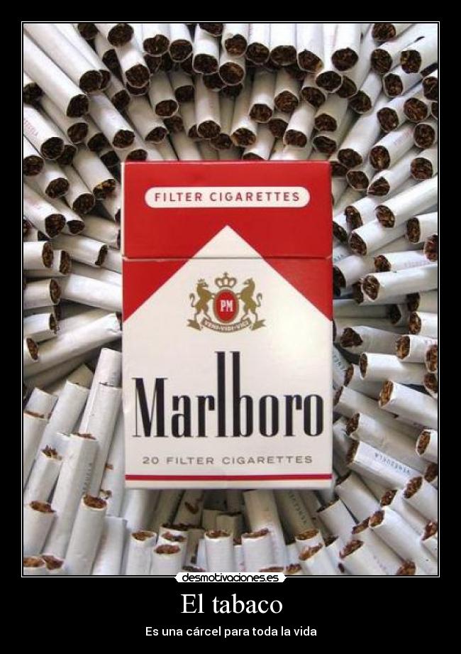 El tabaco - 
