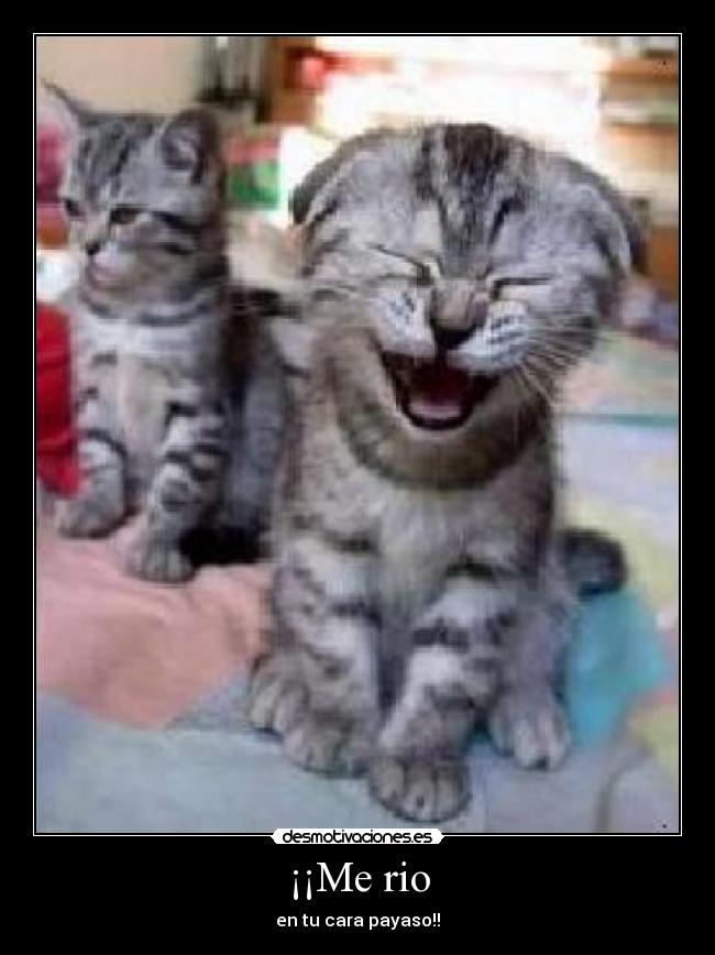 ¡¡Me rio - en tu cara payaso!!