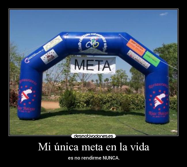 Mi única meta en la vida -