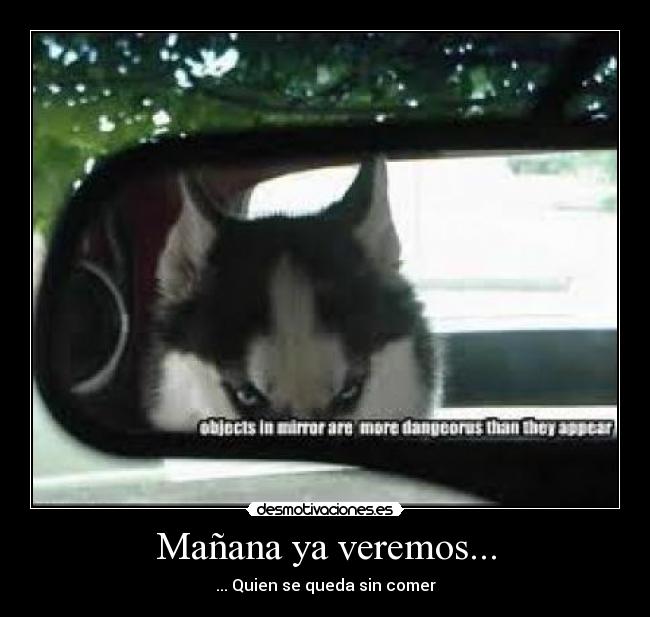 Mañana ya veremos... - 