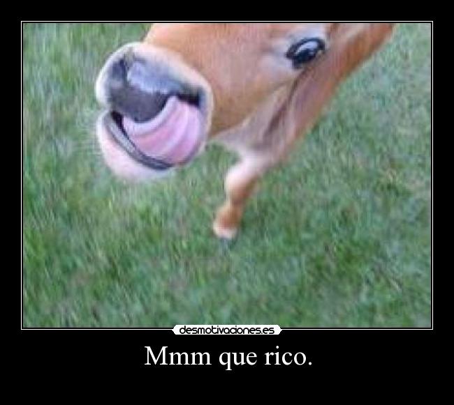 Mmm que rico. - 