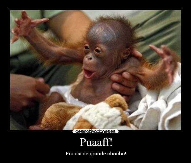Puaaff! - 