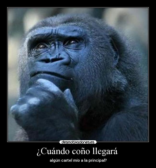 ¿Cuándo coño llegará  - 