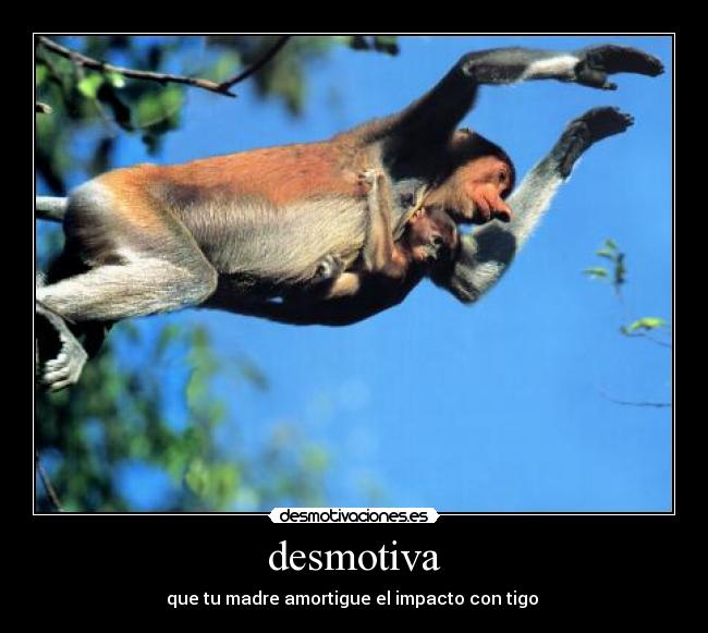 desmotiva - 