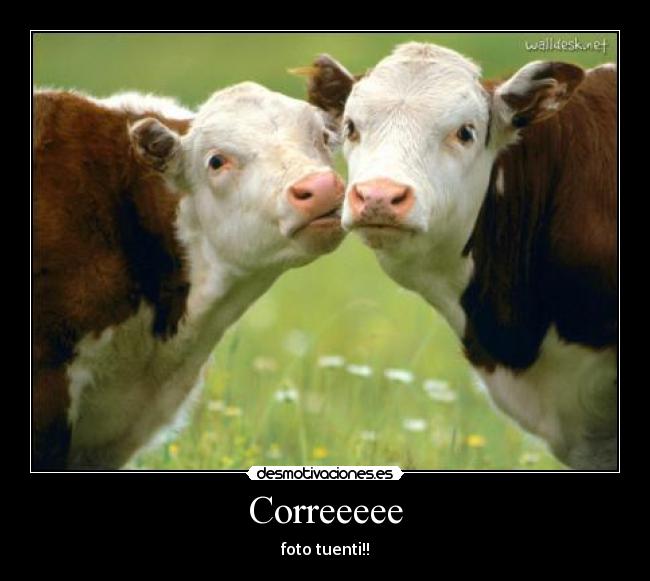 Correeeee - foto tuenti!!