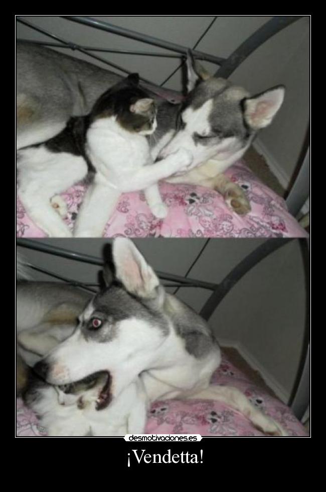 ¡Vendetta! -
