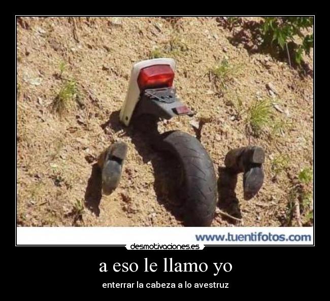 a eso le llamo yo - enterrar la cabeza a lo avestruz