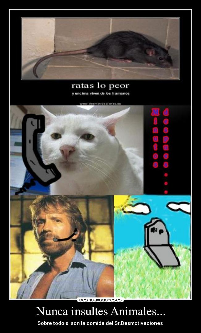 Nunca insultes Animales... -
