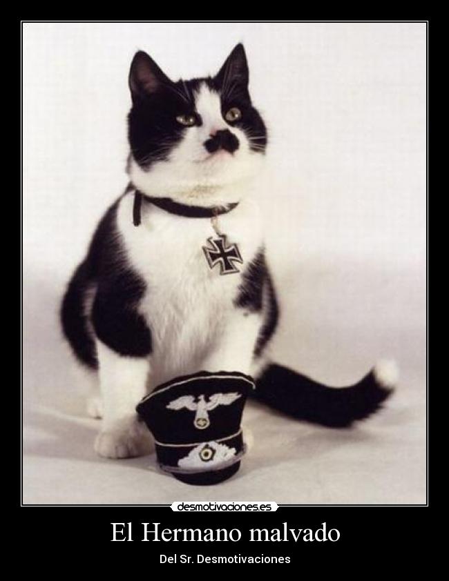 El Hermano malvado -