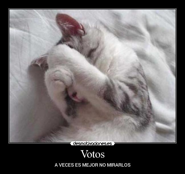 carteles gatos desmotivaciones