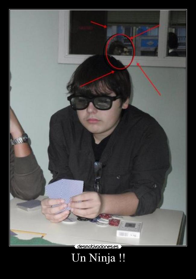 carteles abliux desmotivaciones