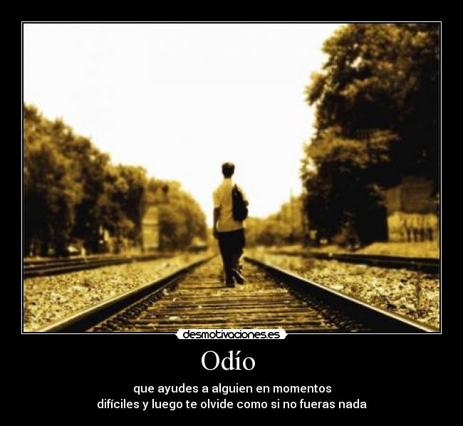 carteles odio masmanidis desmotivaciones